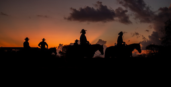 AQHA Recognizes 100-Year Breeders The W.T. Waggoner Estate and King Ranch