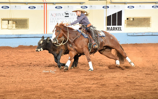 2023 Ford AQHYA World Qualifying Points Announced