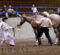 How Horse Shows Became Part of Dave and Karen Haring’s Legacy How Horse Shows Became Part of Dave and Karen Haring’s Legacy