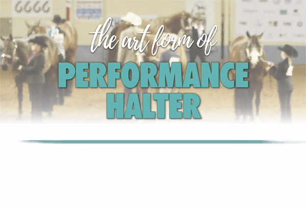 The Art Form of Performance Halter
