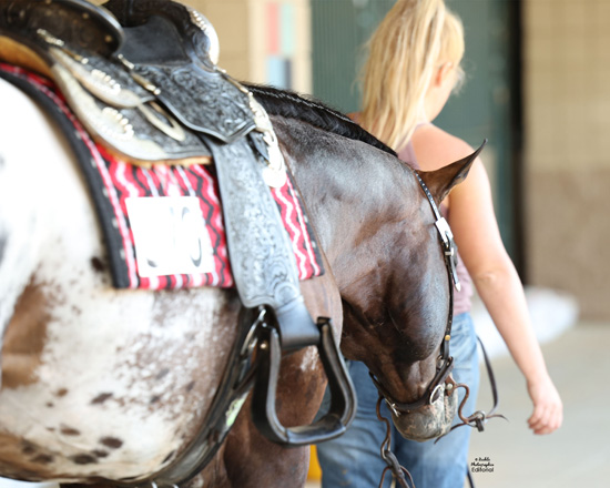 2022 Appaloosa World Championship Show – October 28 – November 5