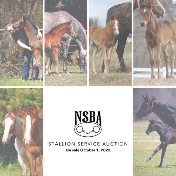 NSBA Stallion Service Auction Bidding Closing November 1st