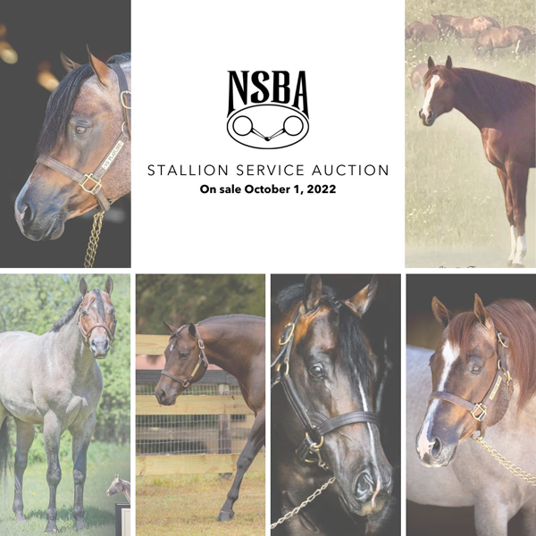 2023 Stallion Service Auction Starts October 1st
