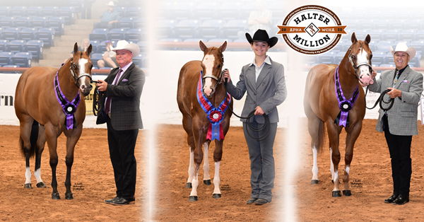 Gary and Linda Gordon Earned Leading Breeder Award at 2022 Halter Million