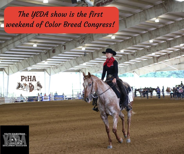 YEDA Teams To Compete at 2022 Pinto Color Breed Congress