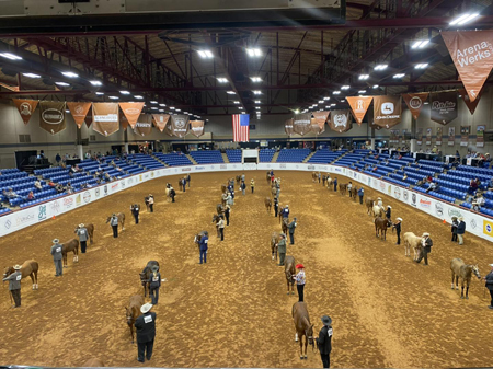 Complete WCHA Results for the 2022 APHA WCHA Halter Million