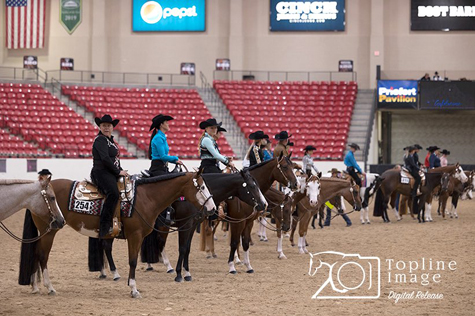 Around the Rings Photos – Goldmine Viva Las Vegas and WRHA World Show