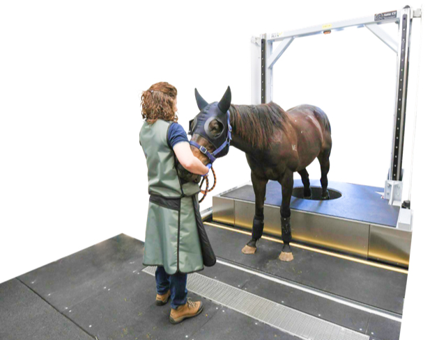 First standing CT scanner installed at Equine Sports Medicine & Surgery