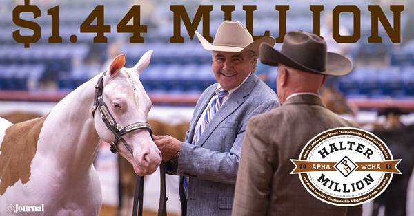 A Million Reasons: Exhibitors cash in at the 2022 APHA/WCHA Halter Million