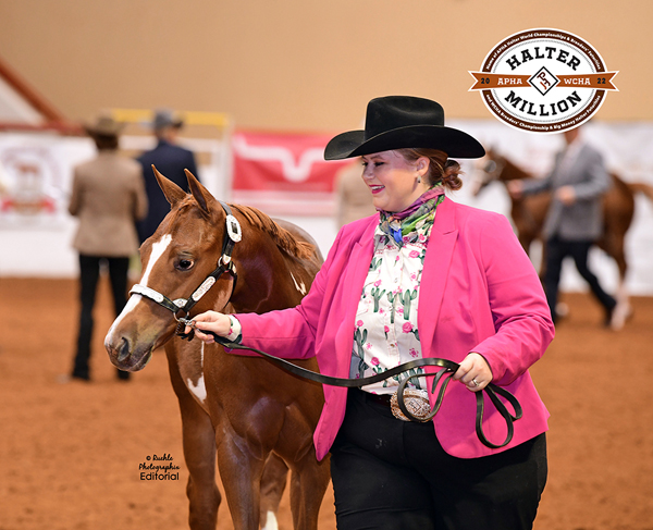 2023 APHA WCHA Halter Million Dates