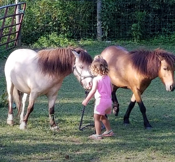 EC Photo of the Day – The Meaning of Friendship