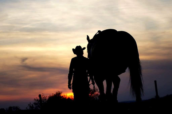 AQHYA Members to be Recognized During Horse Week