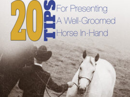 20 Tips For Presenting A Well-Groomed Horse In-Hand
