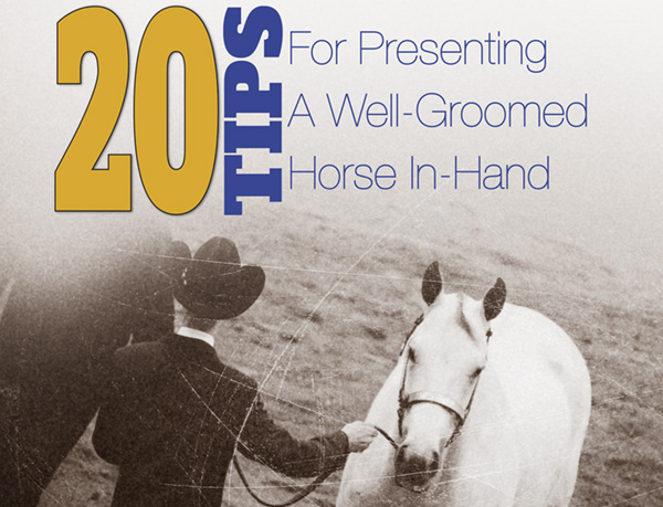20 Tips For Presenting A Well-Groomed Horse In-Hand