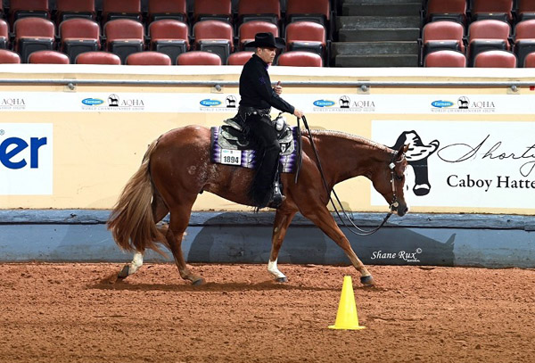 2022 Farnam AQHA Superhorse Crowned