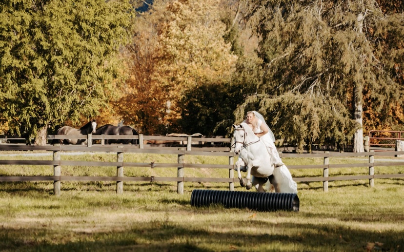 EC Photo of the Day – Wedded Bliss