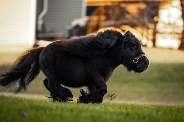 EC Photo of the Day – The Adorable “Bear”