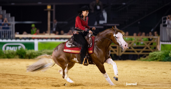 Colonels Shining Gun Reaches NRHA Million Dollar Sire Milestone