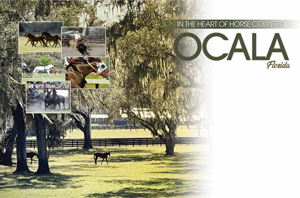 In the Heart of Horse Country – Ocala, Florida