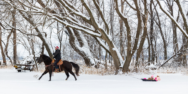 EC Photo of the Day – Snow Day