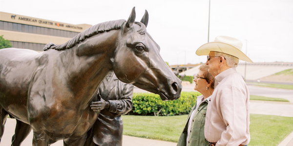 Celebrate the American Quarter Horse on National Day of the 🐴