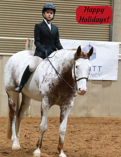 Better Horses TV Coverage of Color Breed Congress on Christmas Day