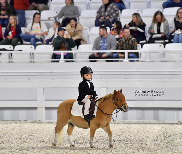 EC Photo of the Day – Is Anyone Getting A Pony For Christmas?