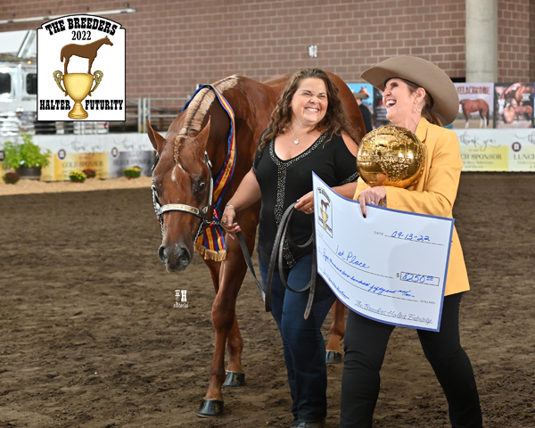 Judges Announced for the 2023 Breeders Halter Futurity