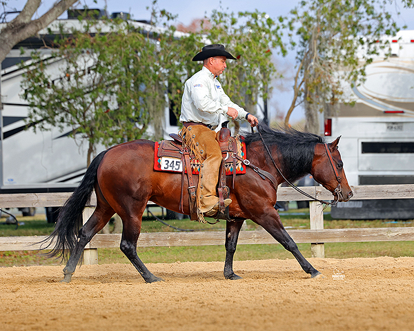 Prime Ranch Futurity Launches This Fall