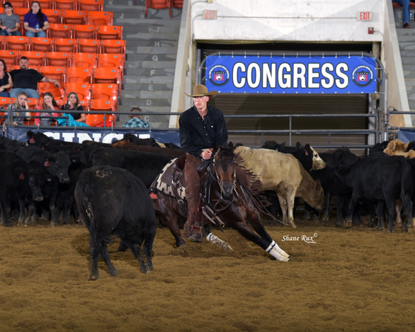 The Congress Cutting To Be Held at Bullen Equestrian Center