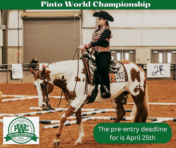 2023 Pinto World Show Preliminary Schedule Released