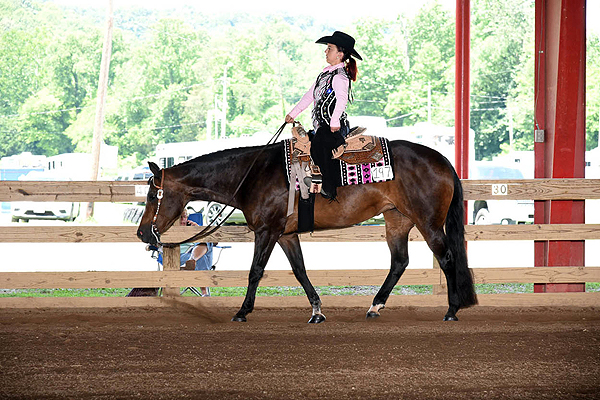 West Virginia Quarter Horse Association 2023 Show Calendar