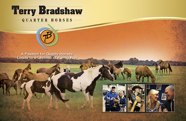 Terry Bradshaw Quarter Horses
