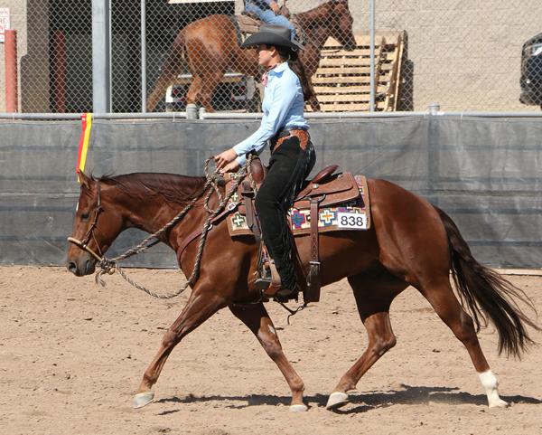 NSBA Ranch Classes at Sun Circuit!