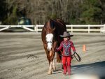 Around the Rings – 2023 SCQHA Southern Gold Classic