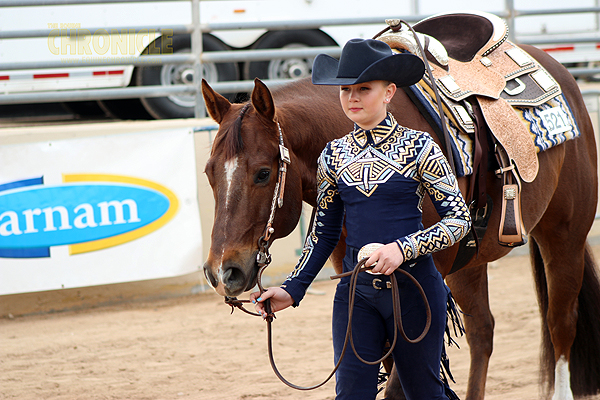 Louis Vuitton noseband bronc halter LV  Horse show clothes, Western  pleasure horses, Horse accessories