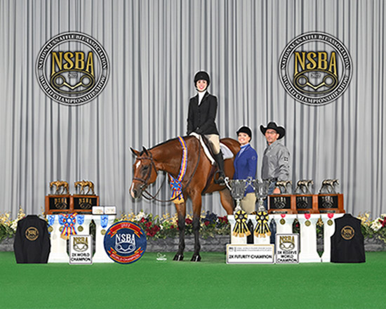 NSBA Announces Hunter Jumper and Show Horse Of The Year