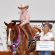 Sandy Jirkovsky Appointed as APHA Director of Youth & Amateur Activities