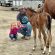 EC Foal Photo of the Day – Come to JoJo!