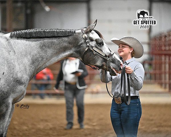 Around the Rings – 2023 Get Spotted Appaloosa Show