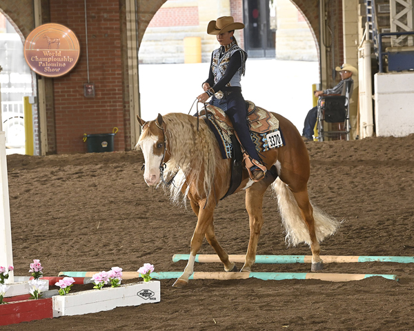 Join the PHBA World Championship Horse Show for Their 40th Anniversary