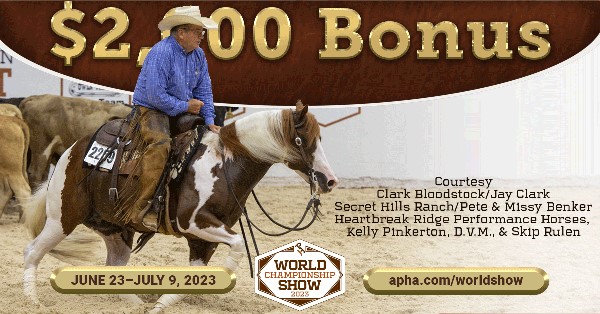 Cash in on Color: Tobiano Bonuses in 4 Performance Categories at the 2023 APHA World Show