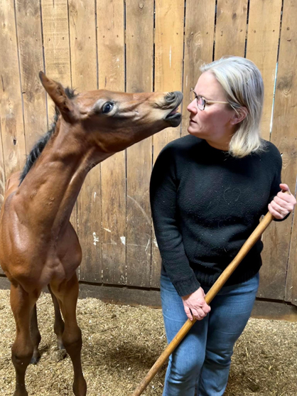 EC Foal Photo of the Day – Is There Something In My Teeth?