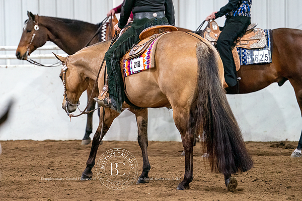 Around the Rings – 2023 Ozark QHA April Horse Show
