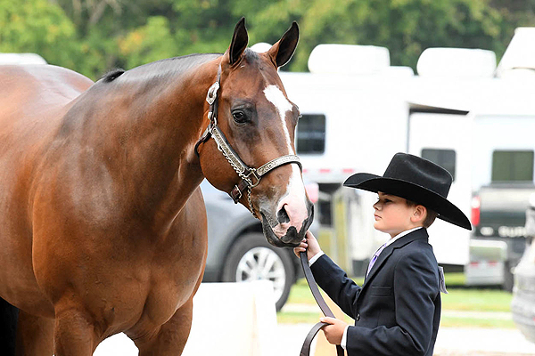 2023 WVQHA April AQHA/NSBA Show with $5750 NSBA Added Money