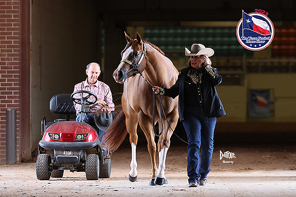 Around the Rings – 2023 TQHA Texas Festival