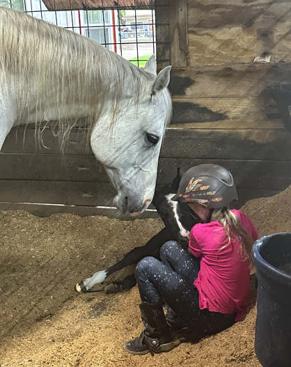 EC Foal Photo of the Day – Hayden Lesak