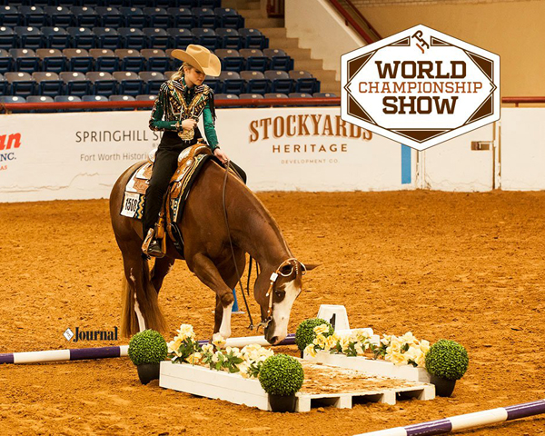 2023 APHA World Show Pattern Book Is Live