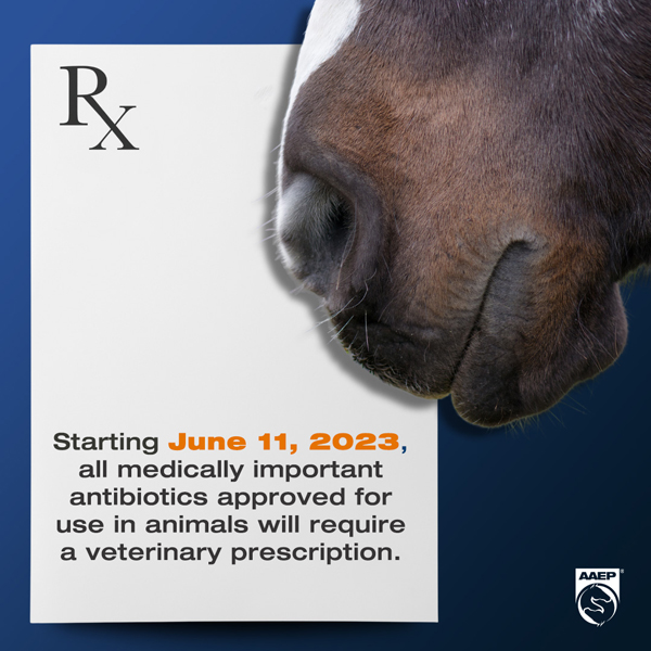 OTC Sale of Livestock Antibiotics Ends June 11, 2023