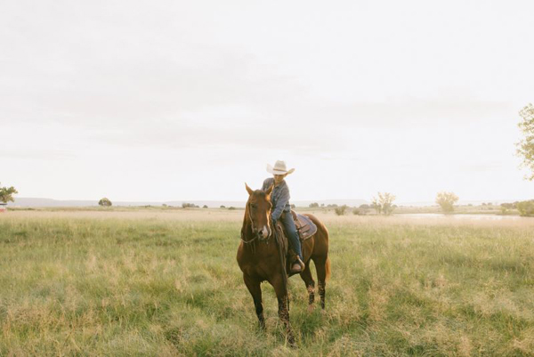 AQHA Launches AQHLearn: Education Beyond the Barn